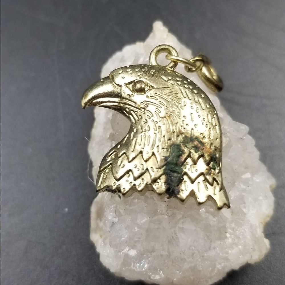 Bald Eagle Stern Face Necklace Pendant Charm. P116